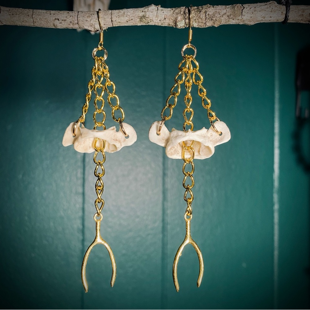 Possum Vertebrae Bone Wishbone Gold Chain Earrings